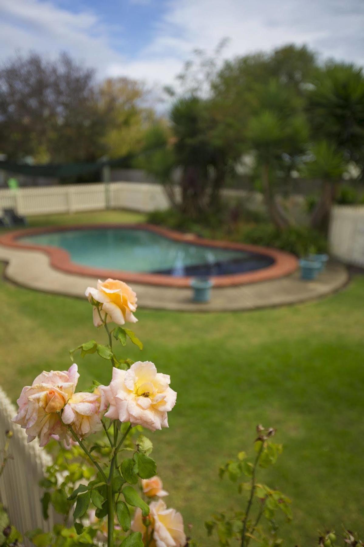 Rose Garden Motel Geelong Exterior foto